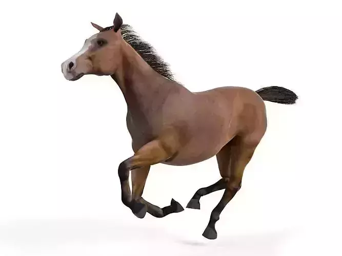 Brown Galloping Horse
