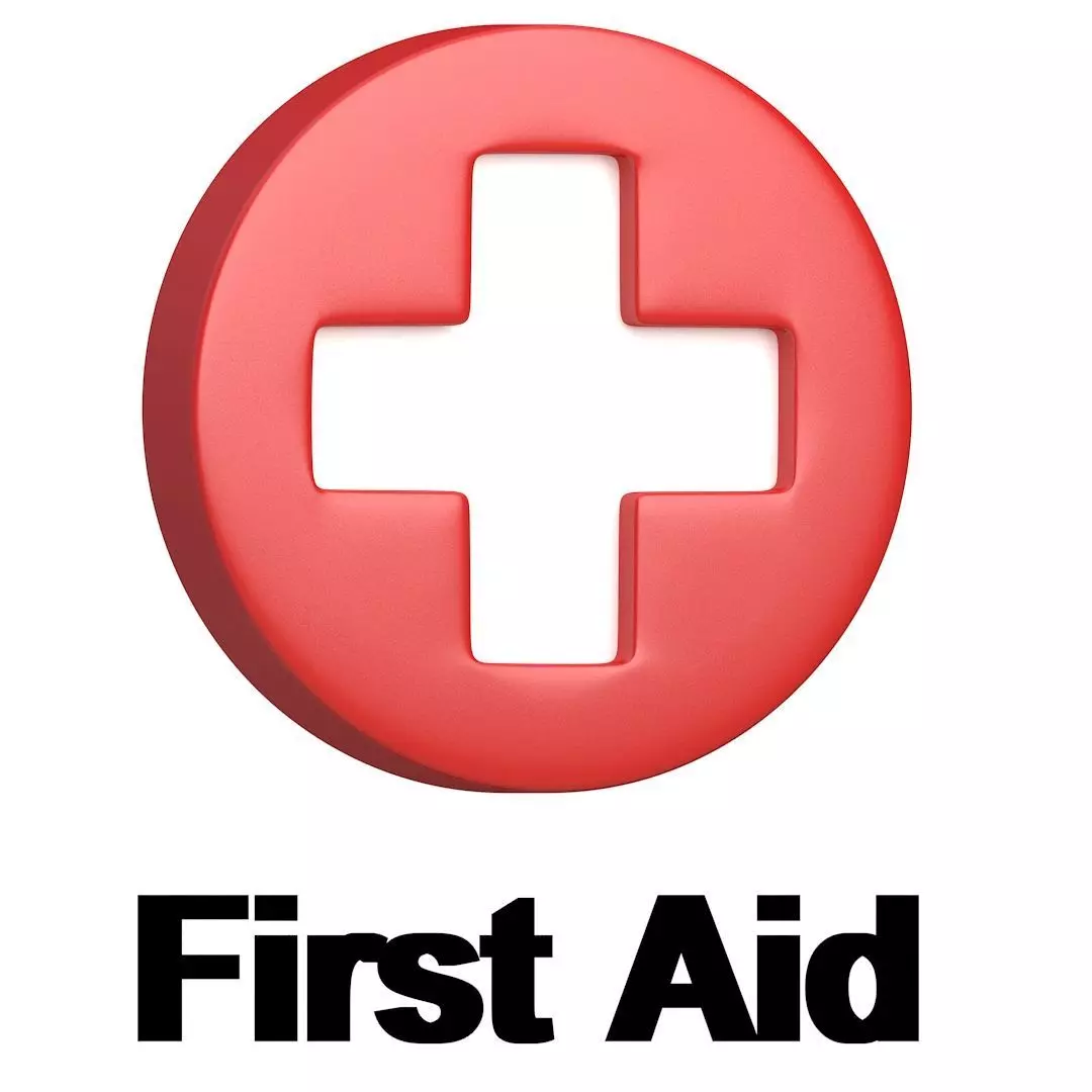 First Aid Kit logo 3D model_0