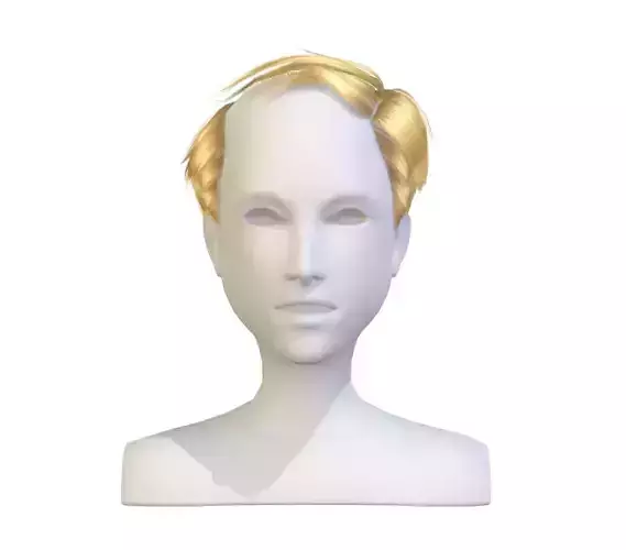 Hairstyle cartoon lush man haircut of short lenght