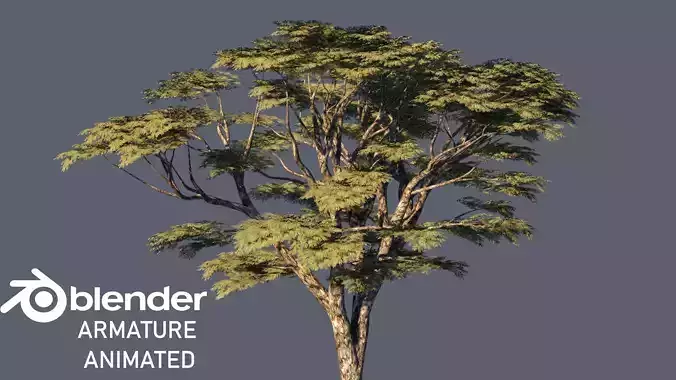 saman  tree 3D model