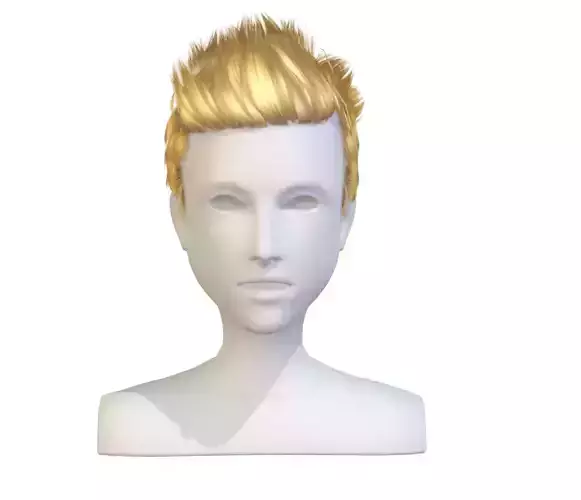 cartoon lush man haircut of short lenght Hairstyle