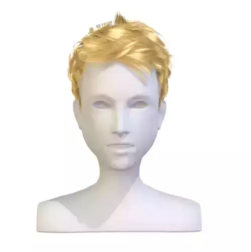 cartoon lush man haircut of short lenght Hairstyle