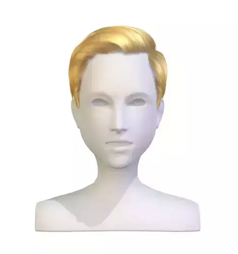 cartoon lush man haircut of short lenght Hairstyle