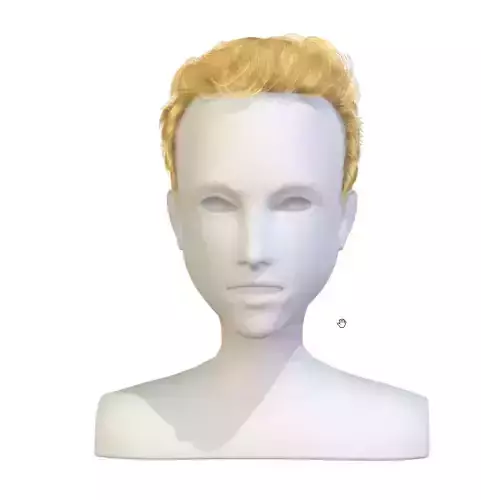 cartoon lush man haircut of short lenght  Hairstyle