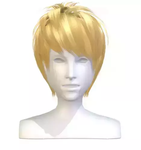 cartoon lush man haircut of short lenght Hairstyle