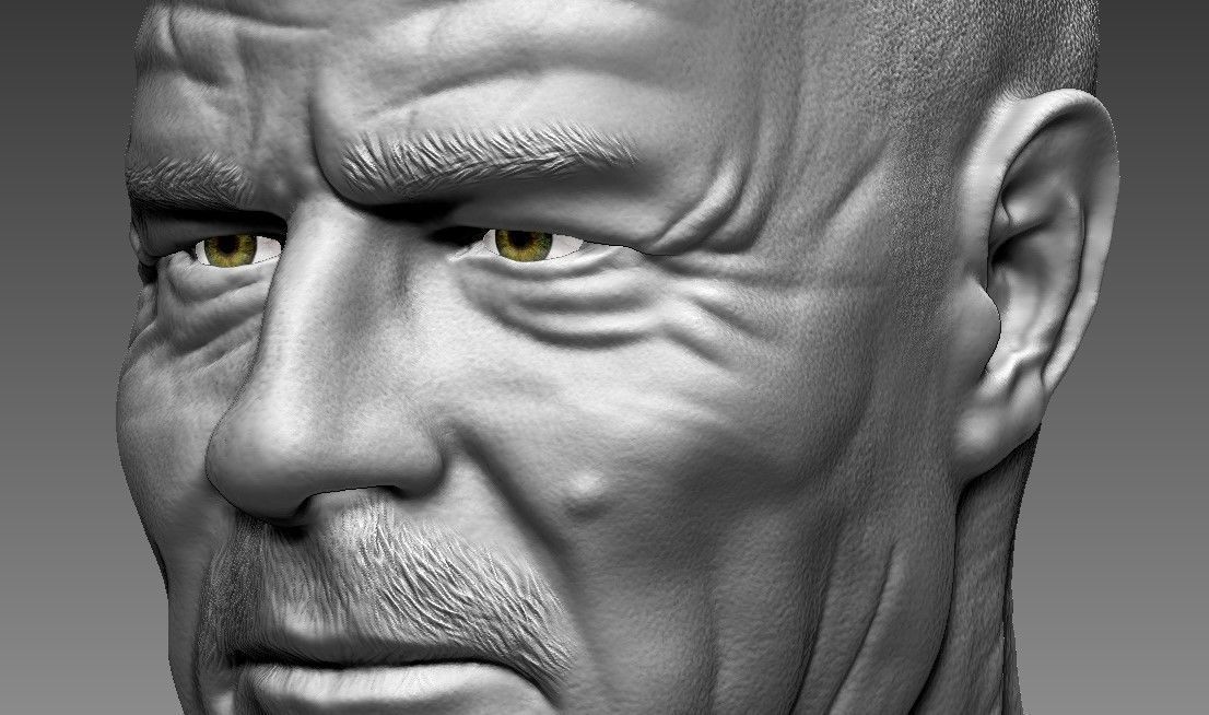 Walter White - Heisenberg PRINTABLE 3D print model_4