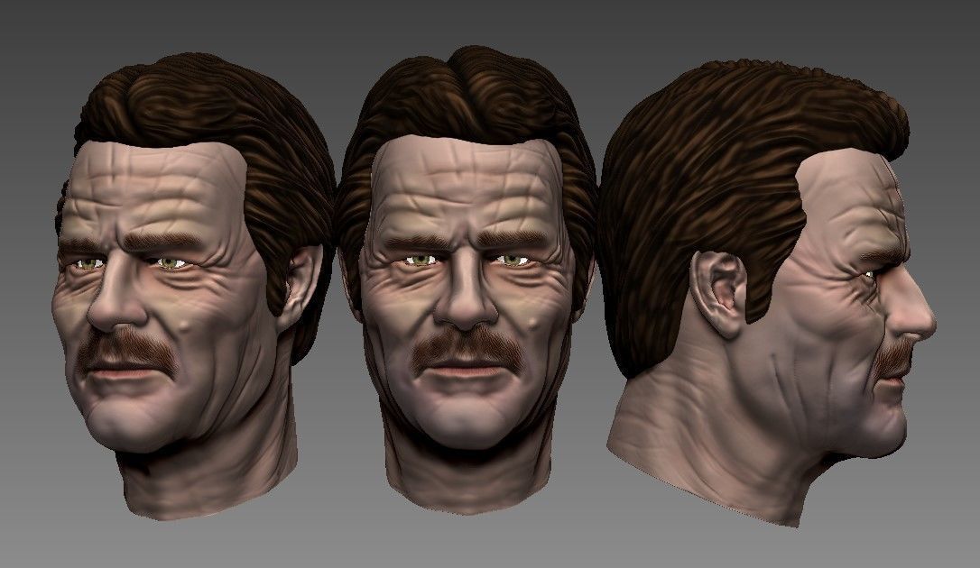 Walter White - Heisenberg PRINTABLE 3D print model_1