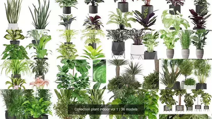 Collection plant indoor vol 1 