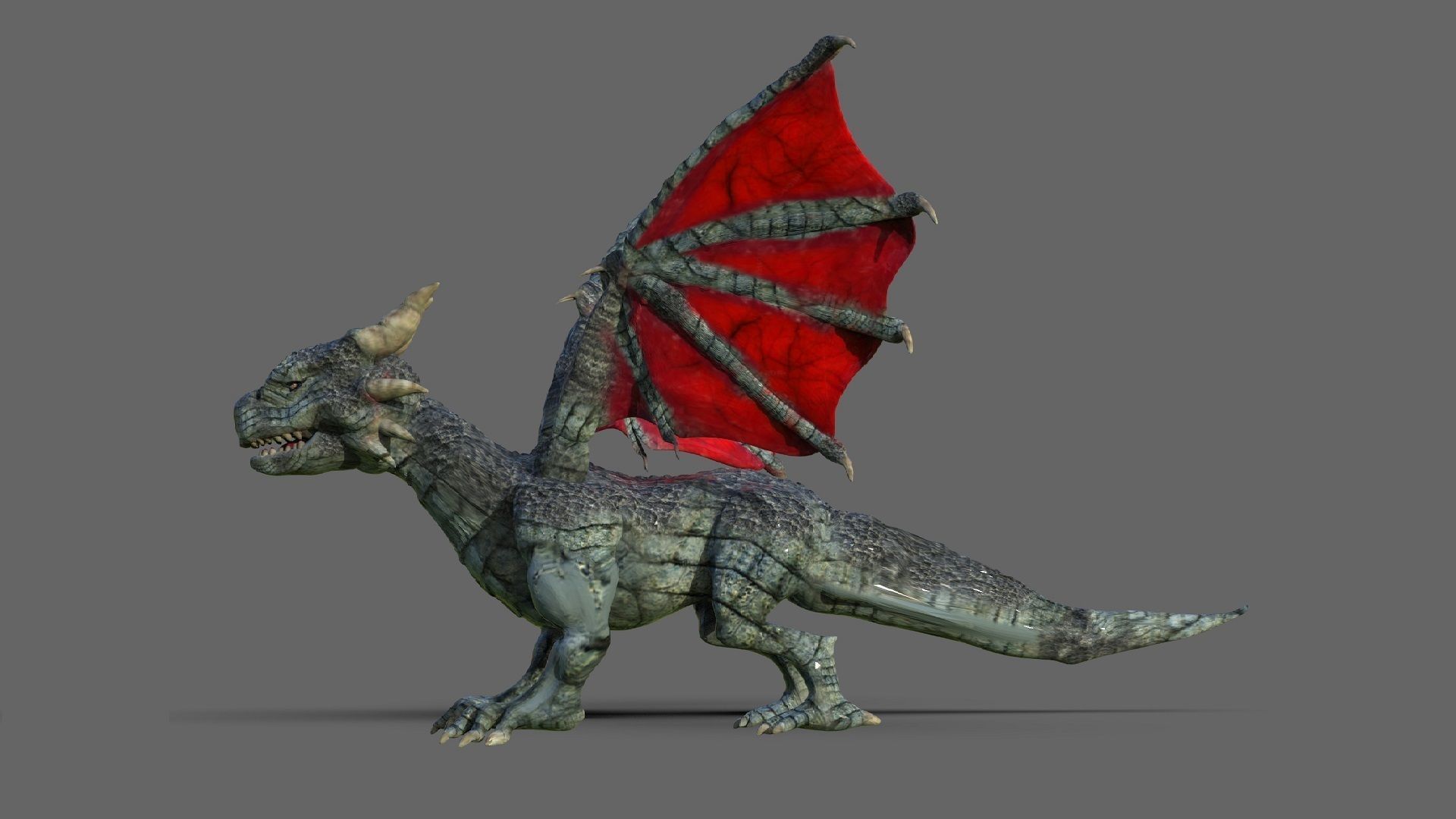 Chibi Dragon Low-poly 3D model_2
