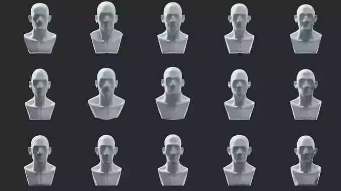 Stylized Head Ecorche 