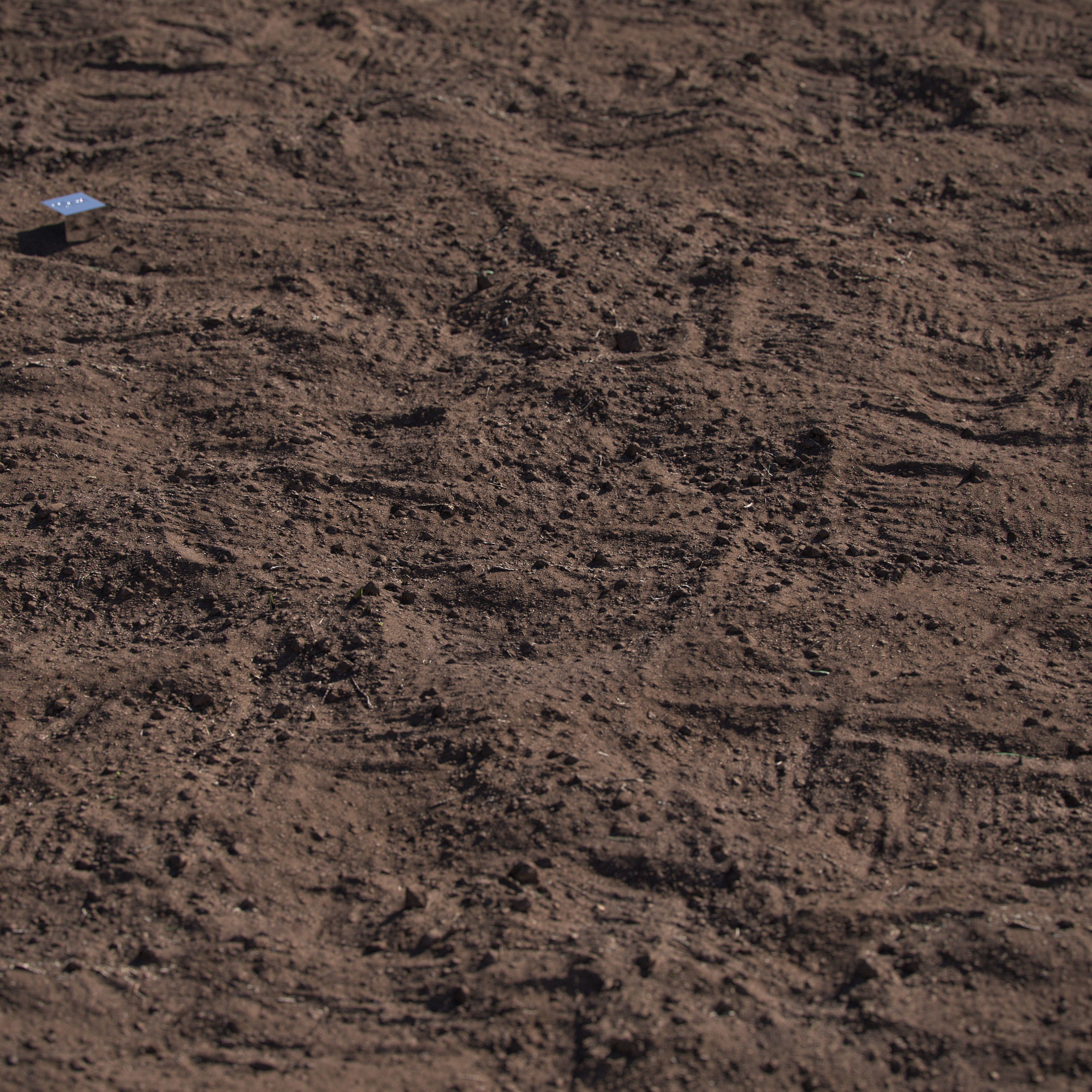 Black Soil 3D model_4