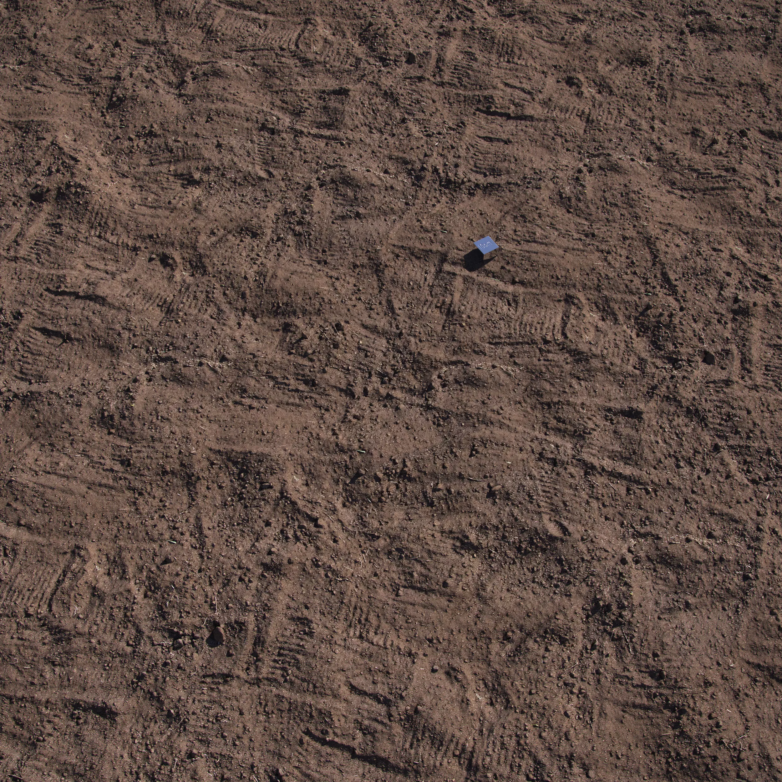 Black Soil 3D model_0