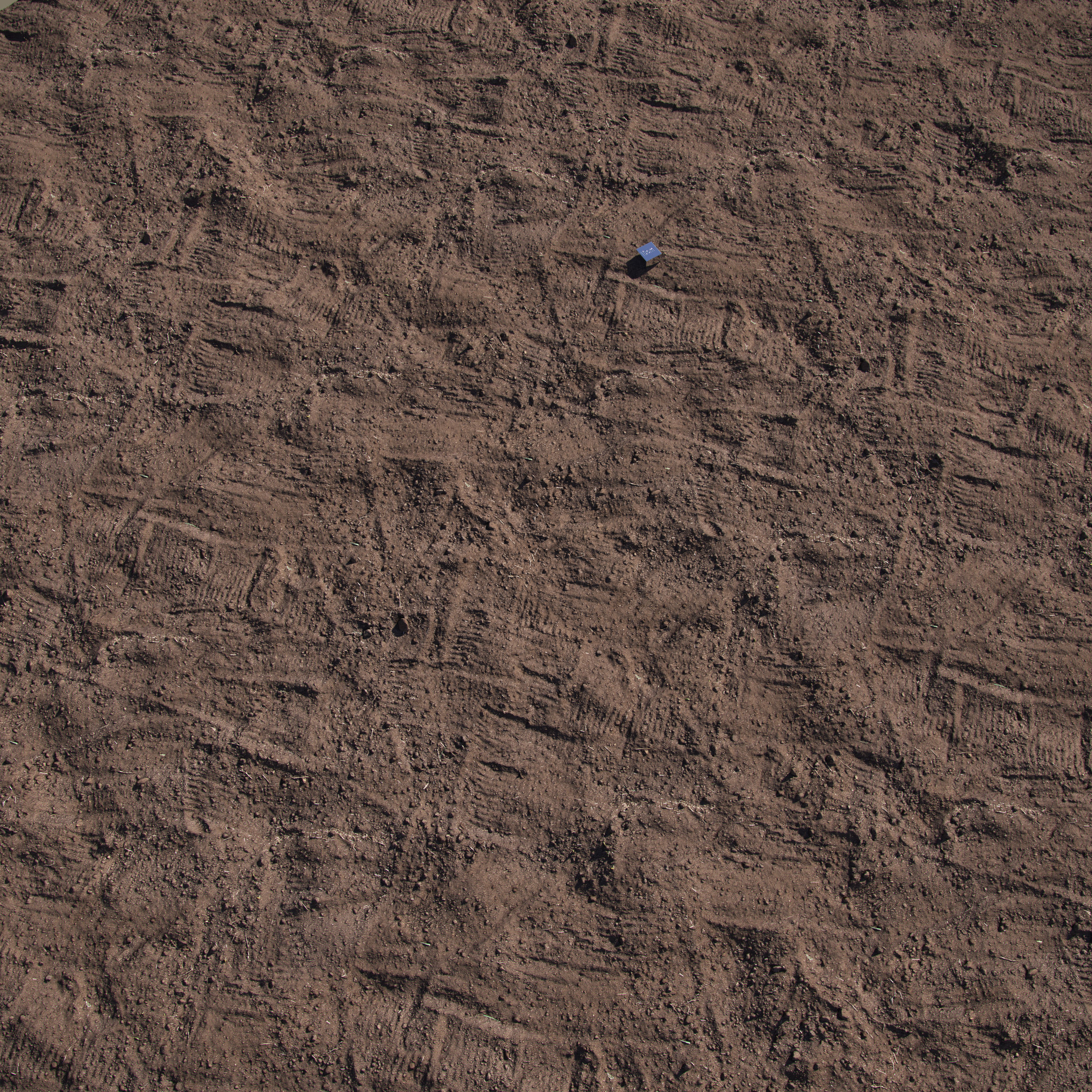 Black Soil 3D model_5