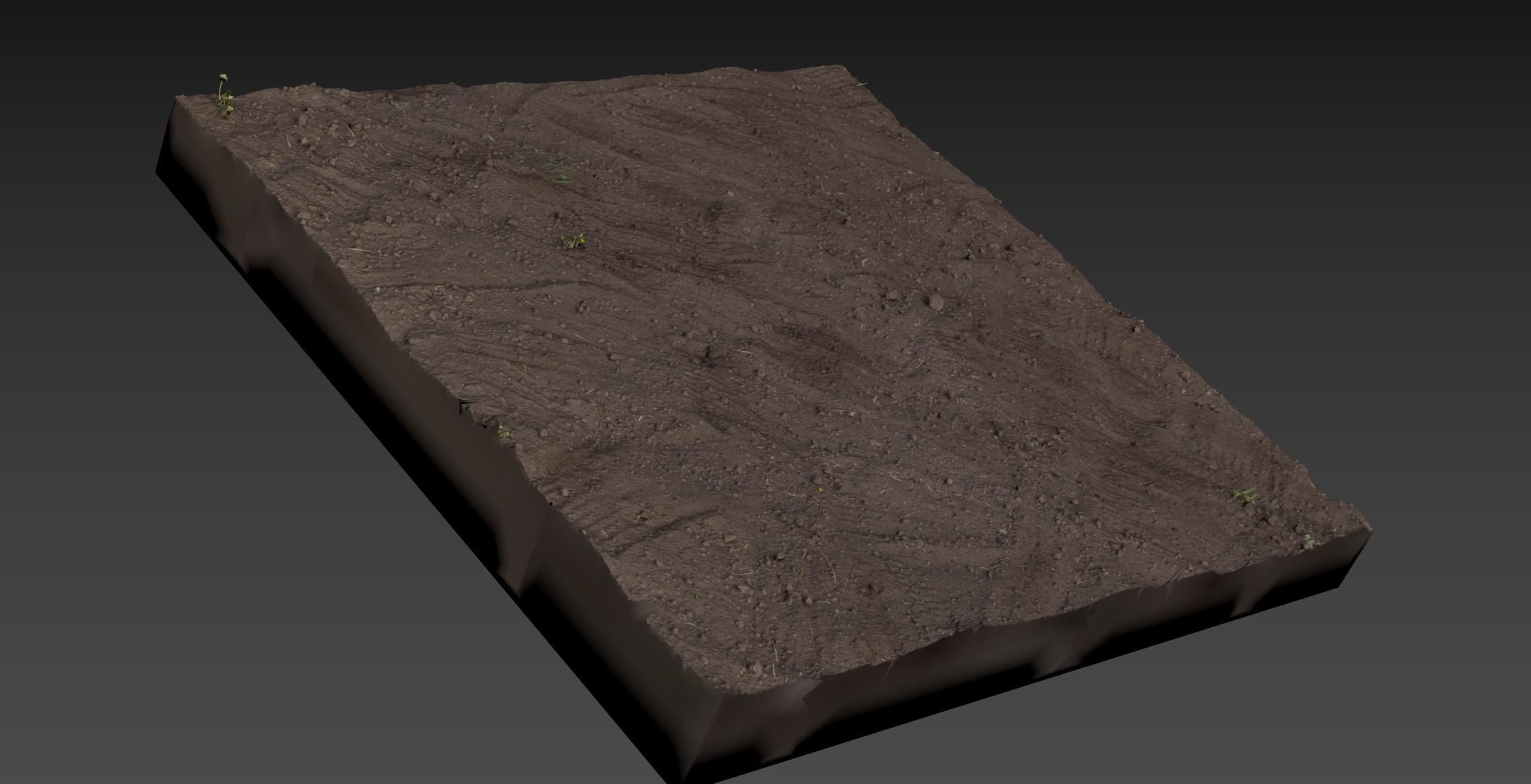Black Soil 3D model_10