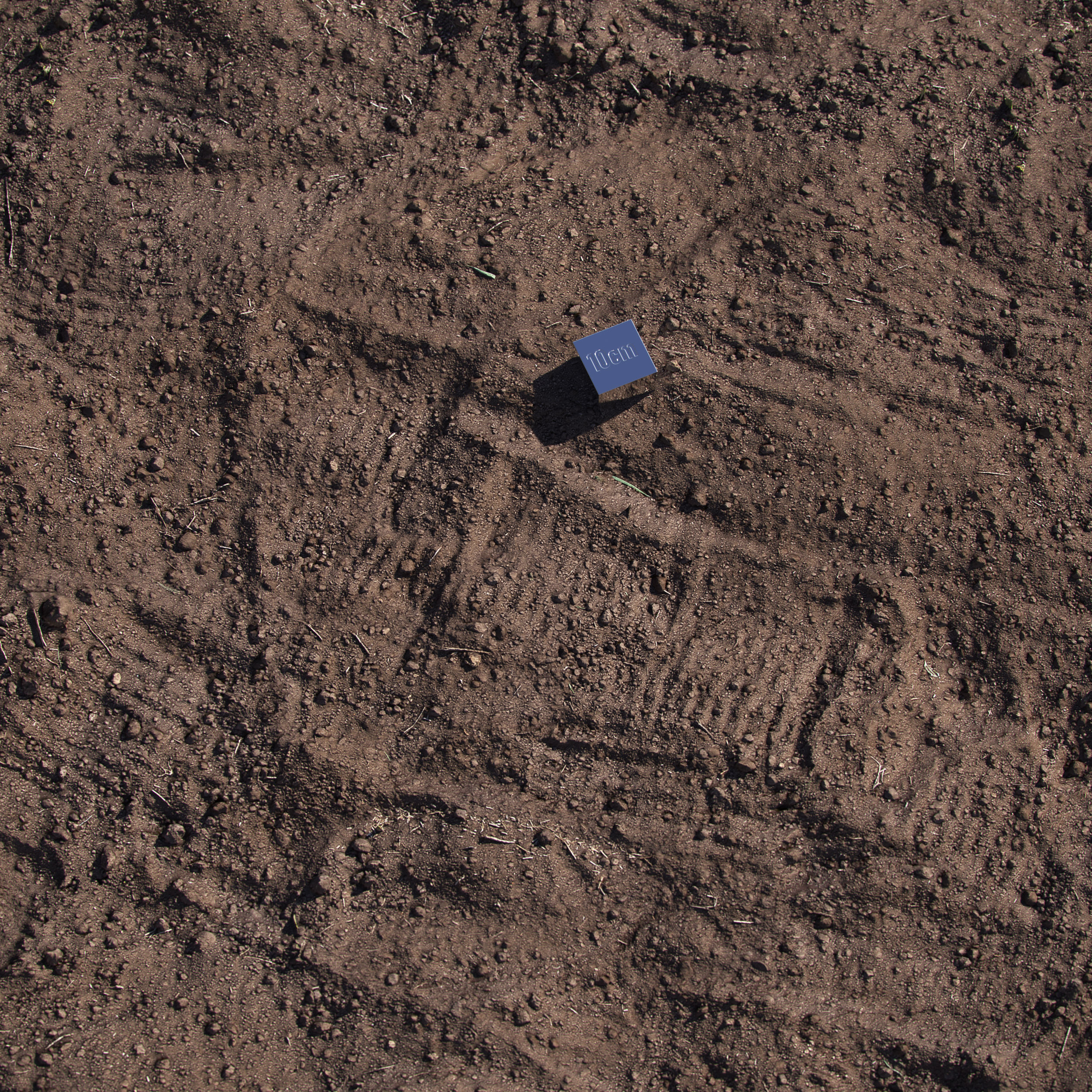 Black Soil 3D model_2