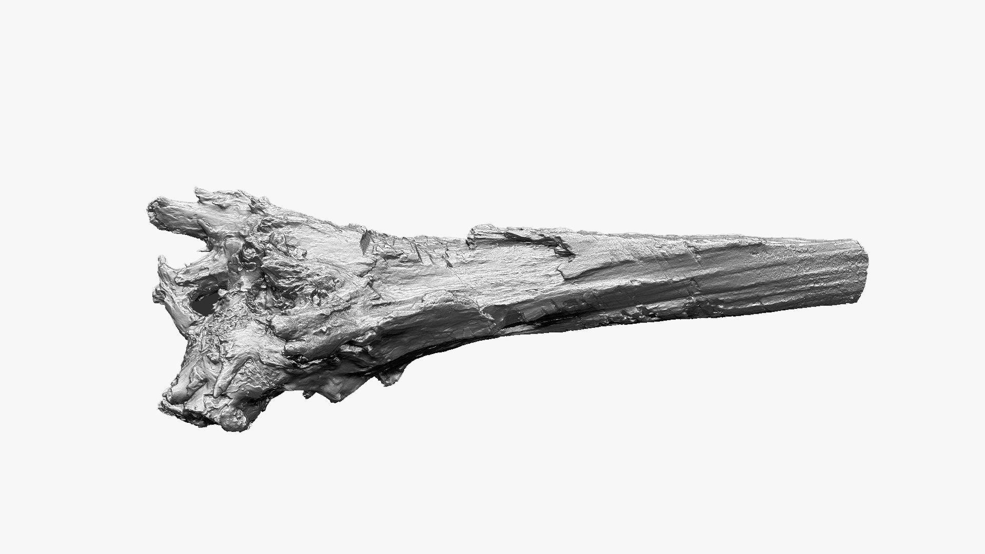 Tree trunk 3d scan 3D model_17