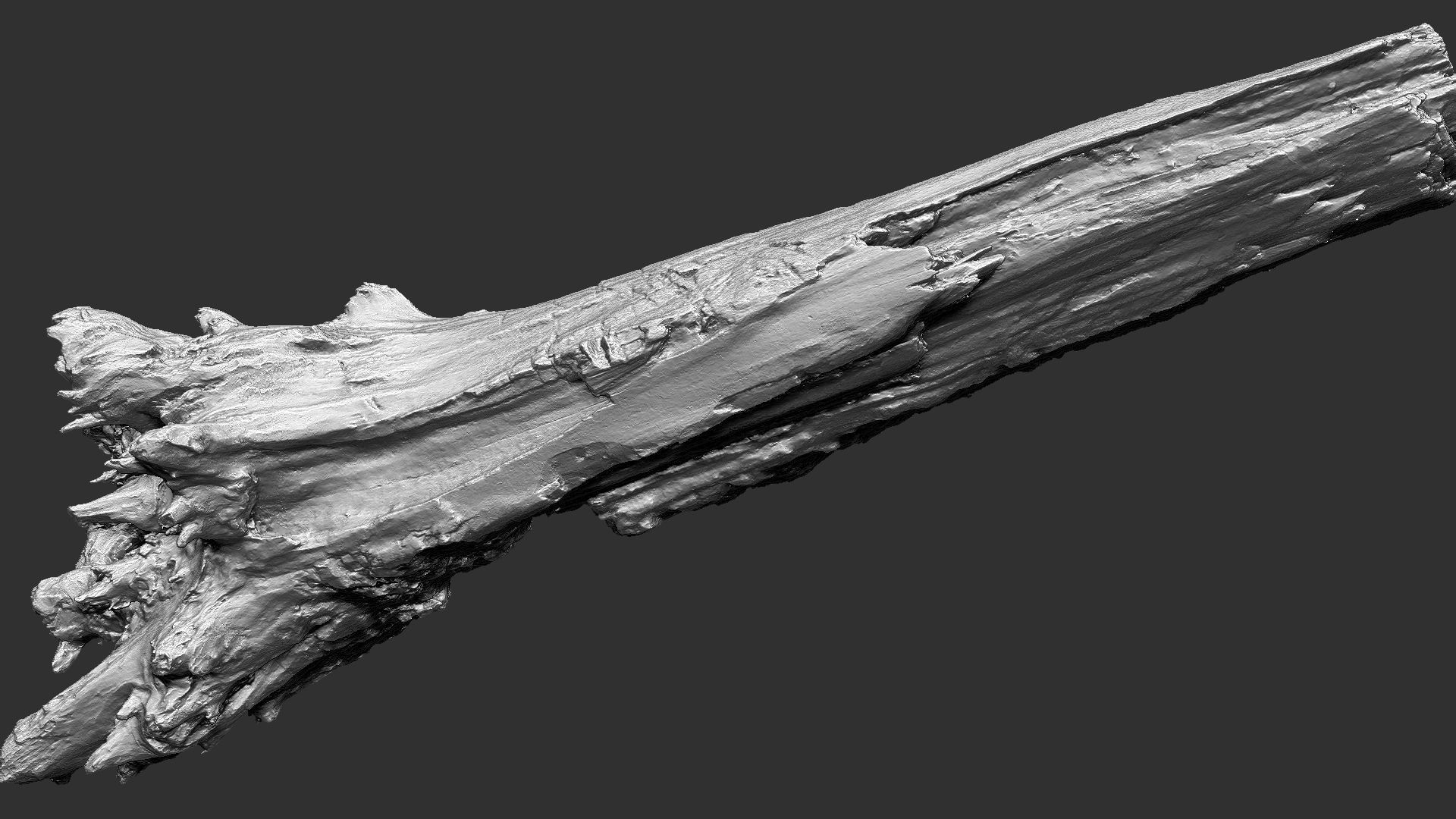 Tree trunk 3d scan 3D model_6