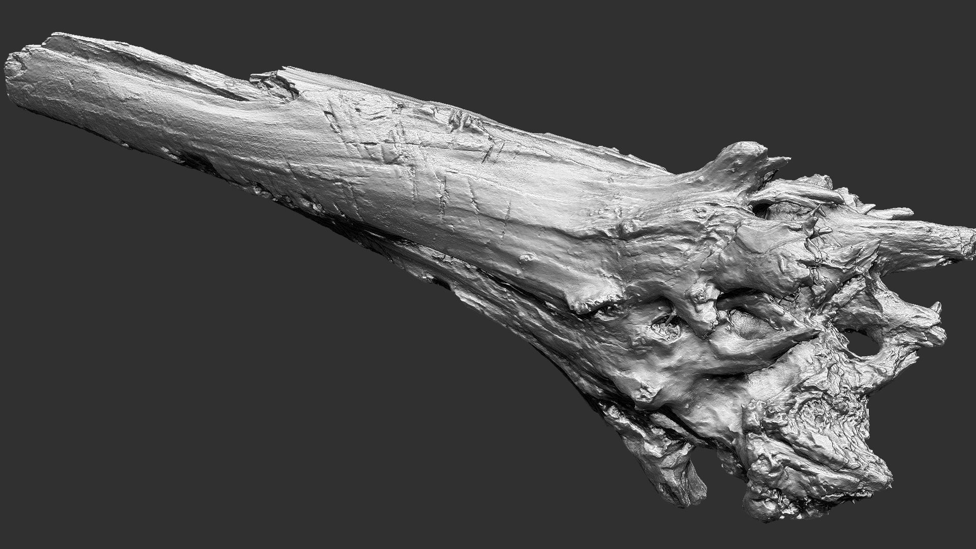 Tree trunk 3d scan 3D model_7