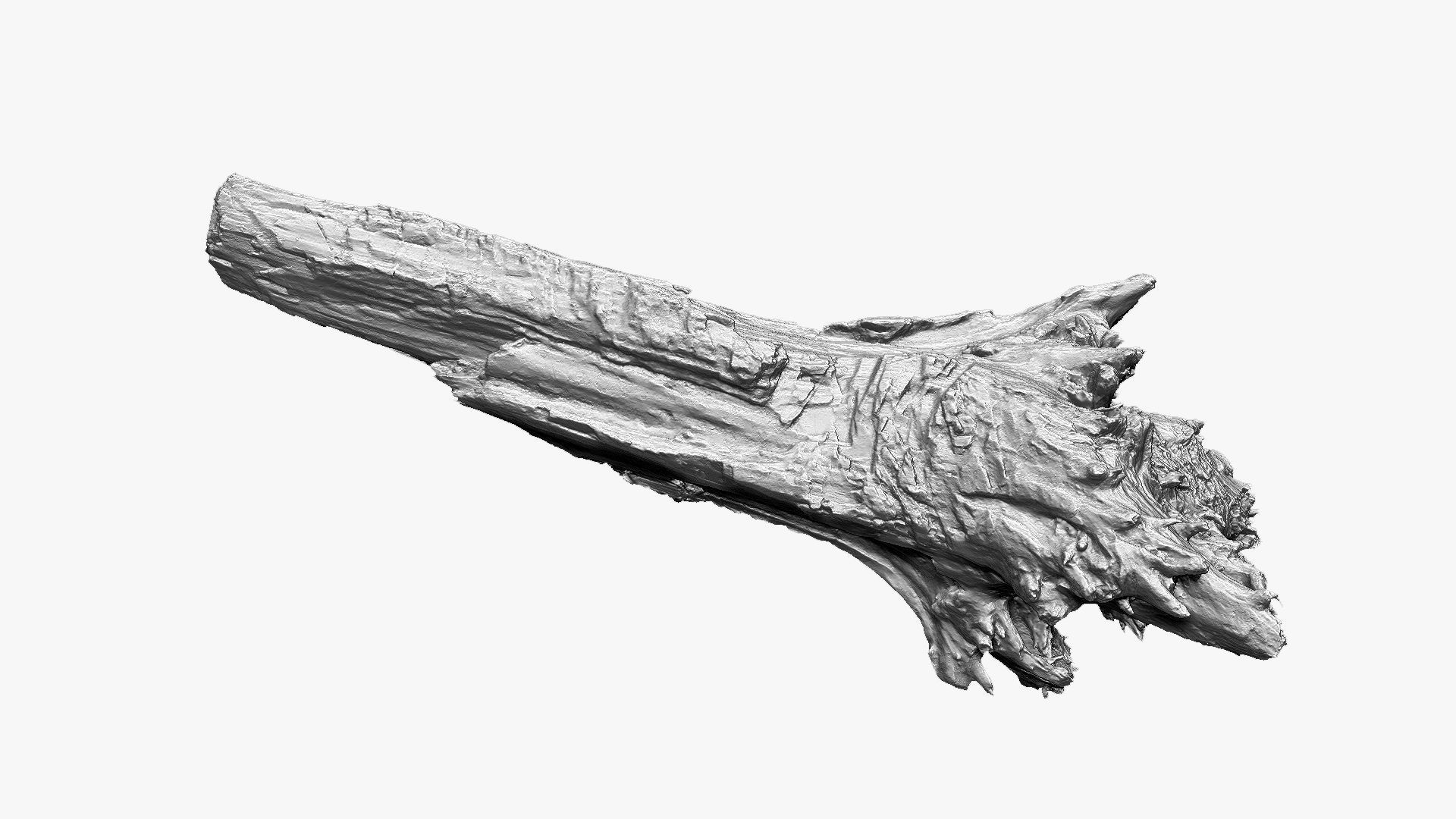 Tree trunk 3d scan 3D model_12