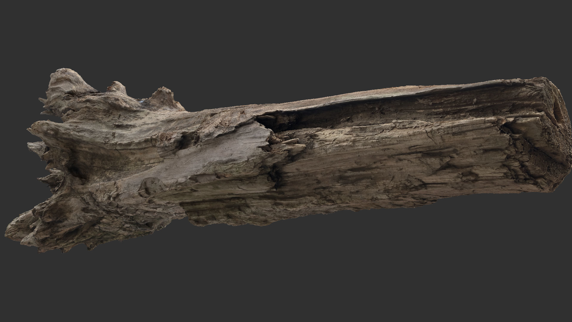 Tree trunk 3d scan 3D model_13