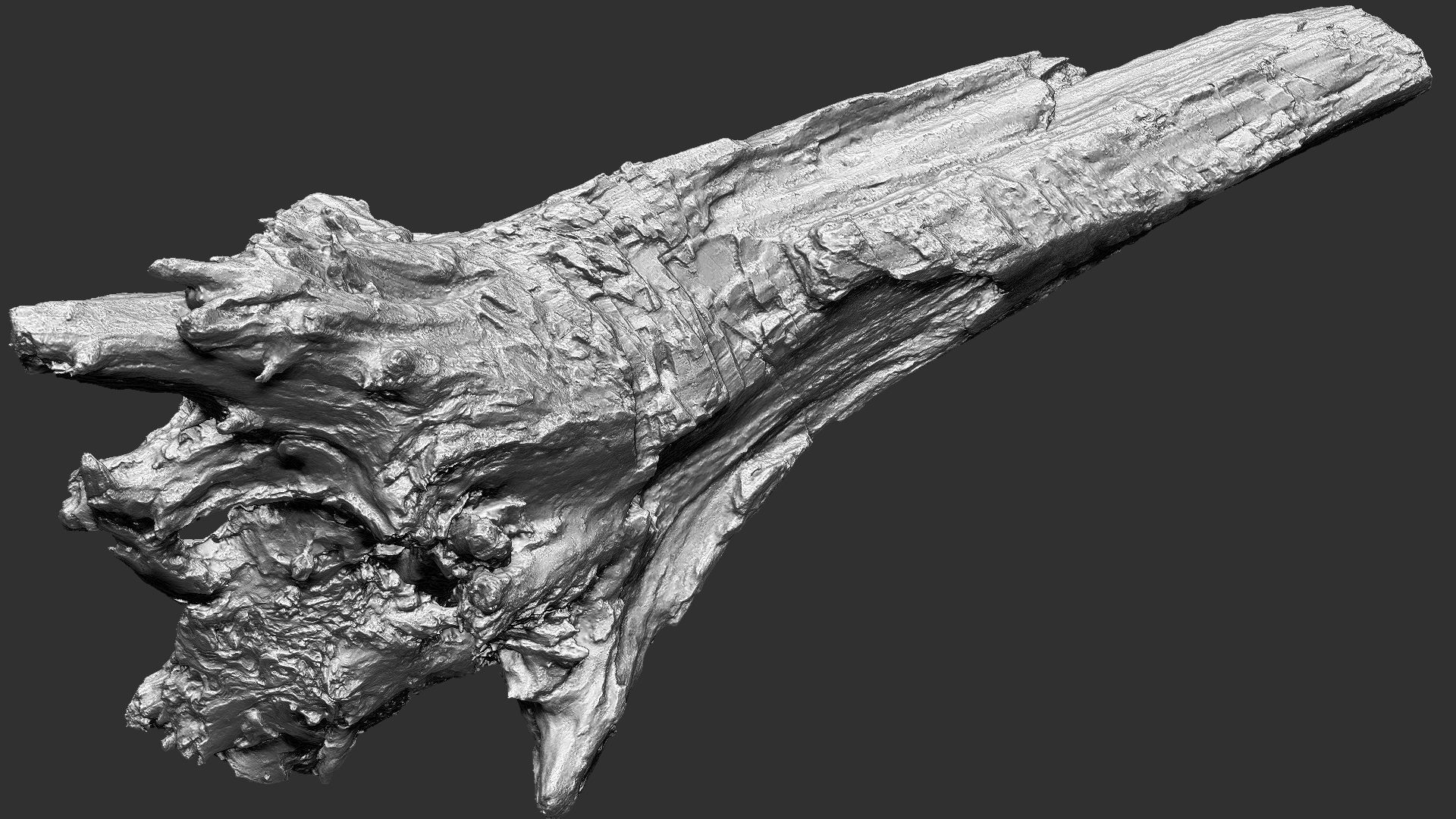 Tree trunk 3d scan 3D model_2