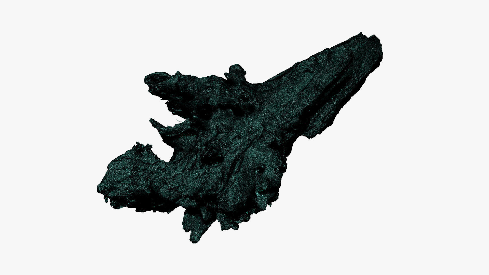 Tree trunk 3d scan 3D model_22