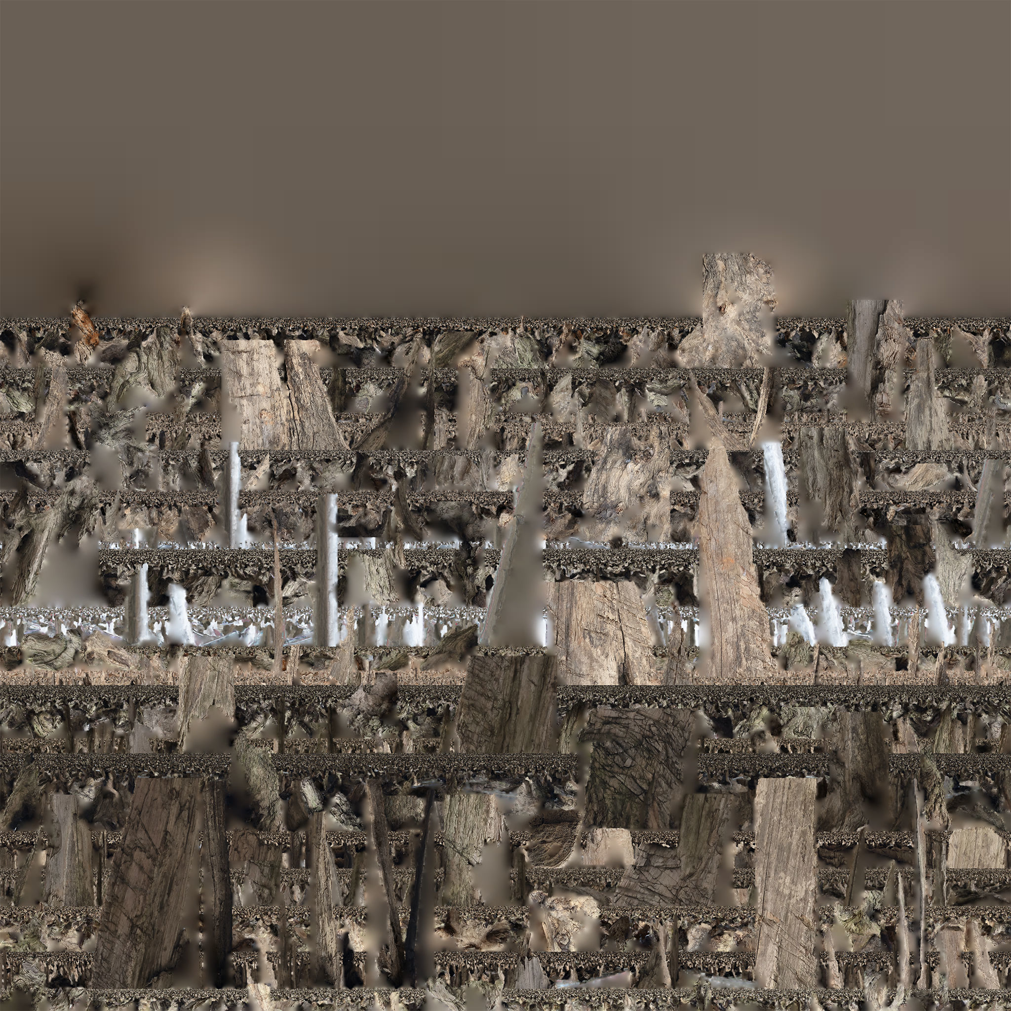 Tree trunk 3d scan 3D model_27