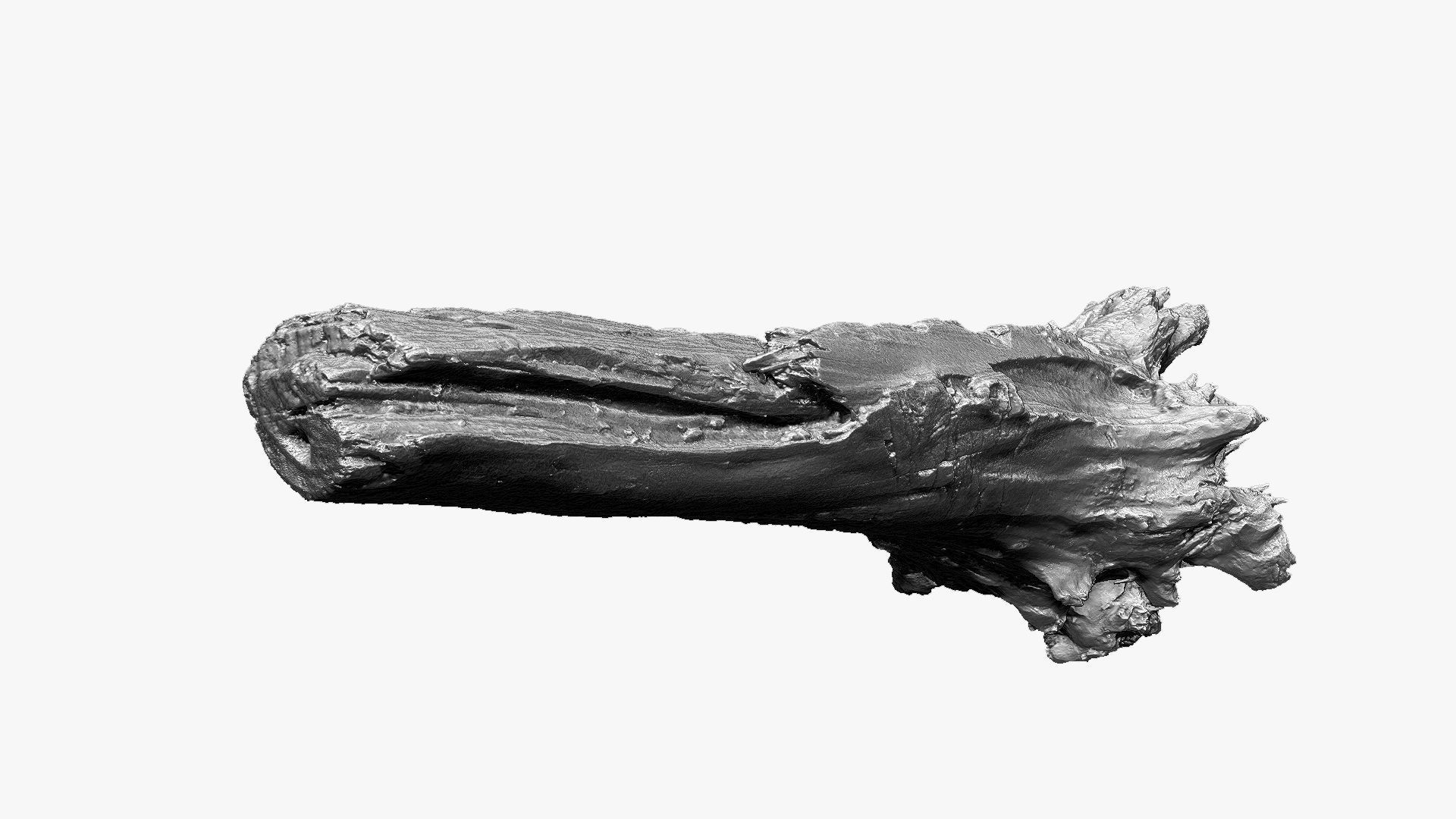 Tree trunk 3d scan 3D model_21