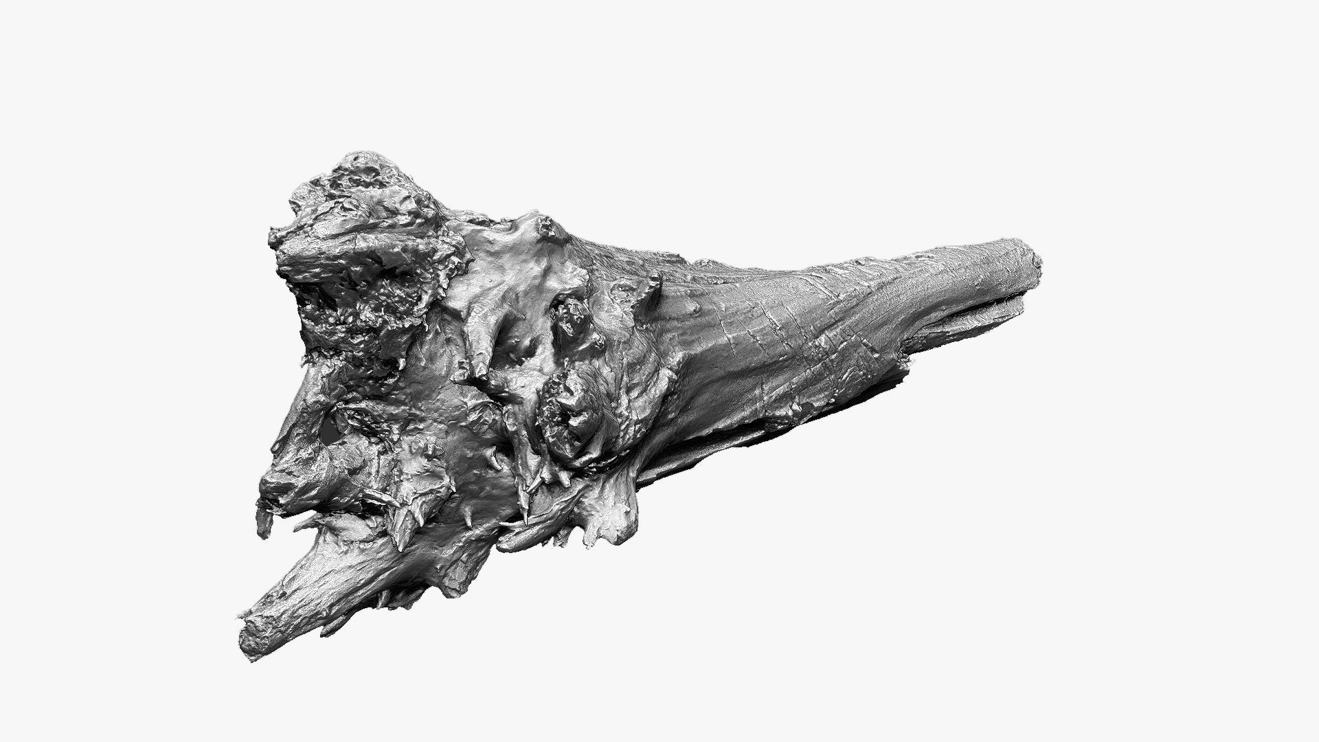 Tree trunk 3d scan 3D model_14