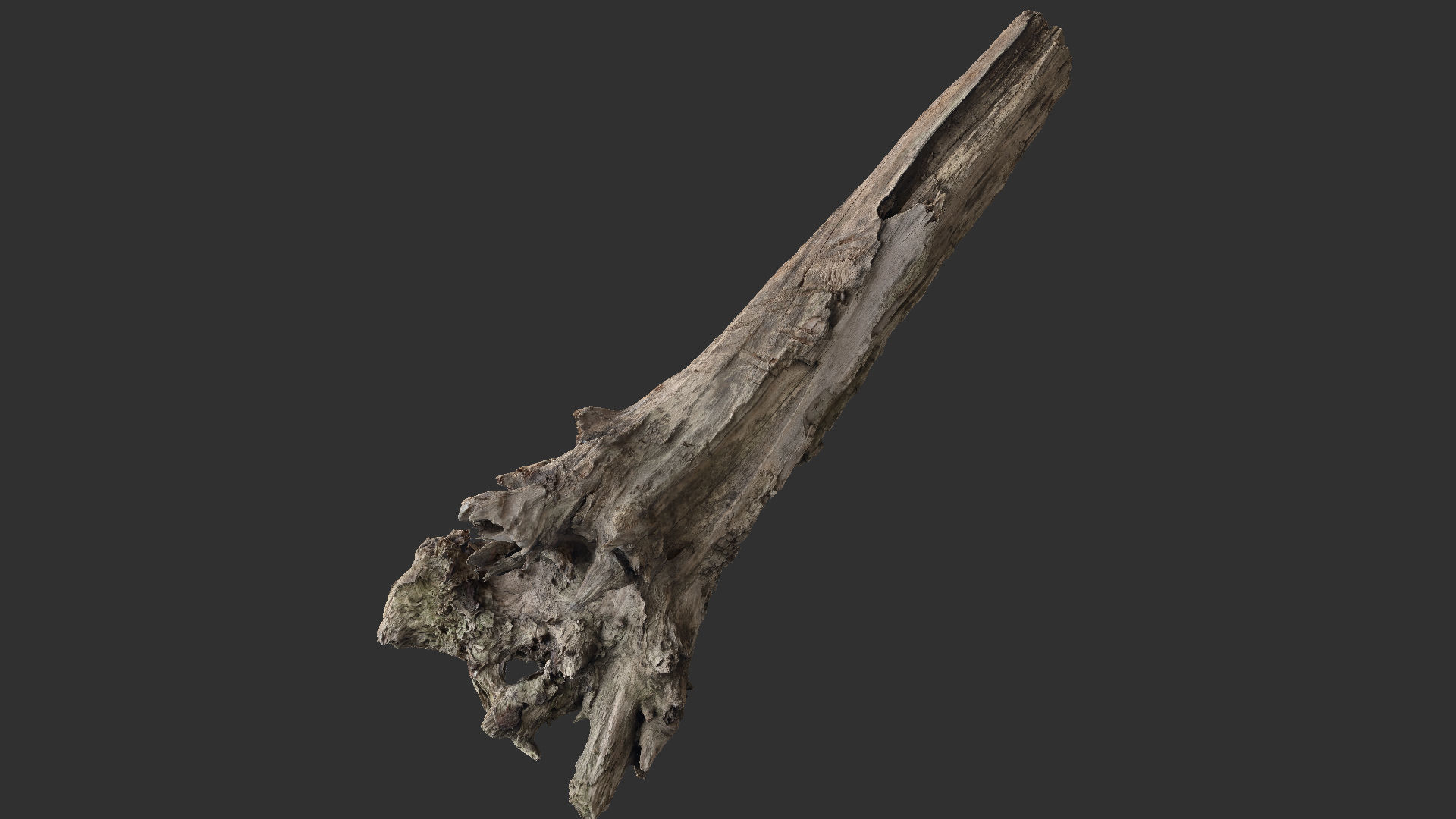Tree trunk 3d scan 3D model_18