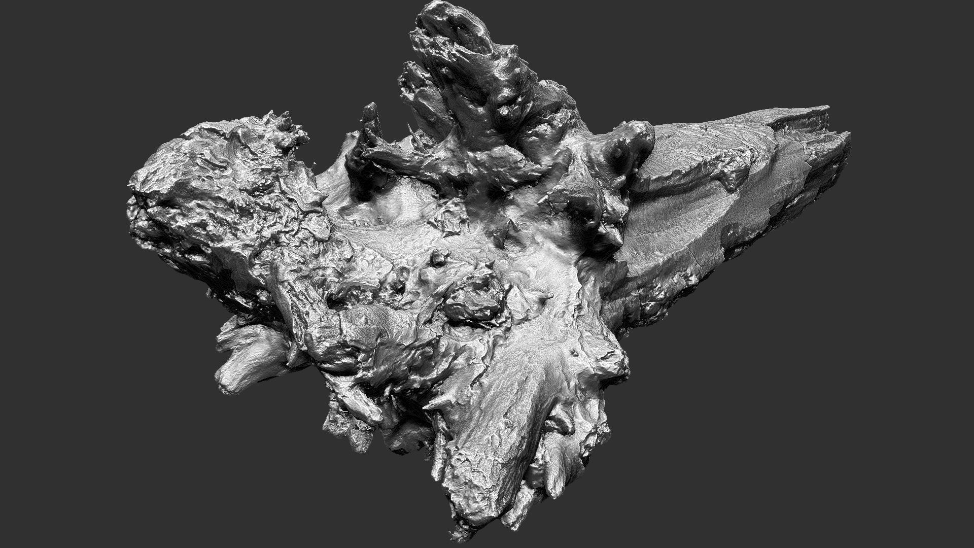 Tree trunk 3d scan 3D model_4