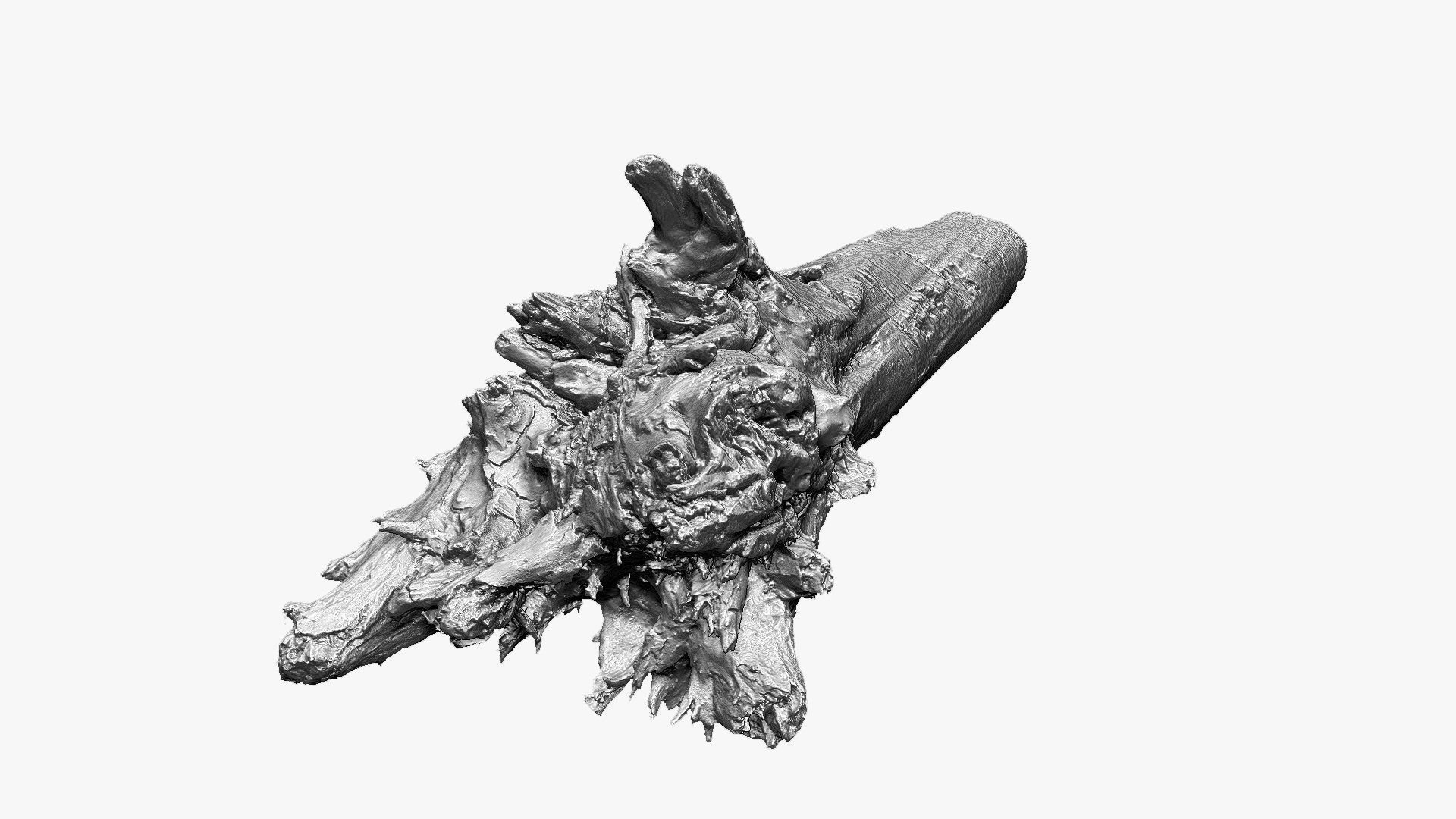 Tree trunk 3d scan 3D model_10