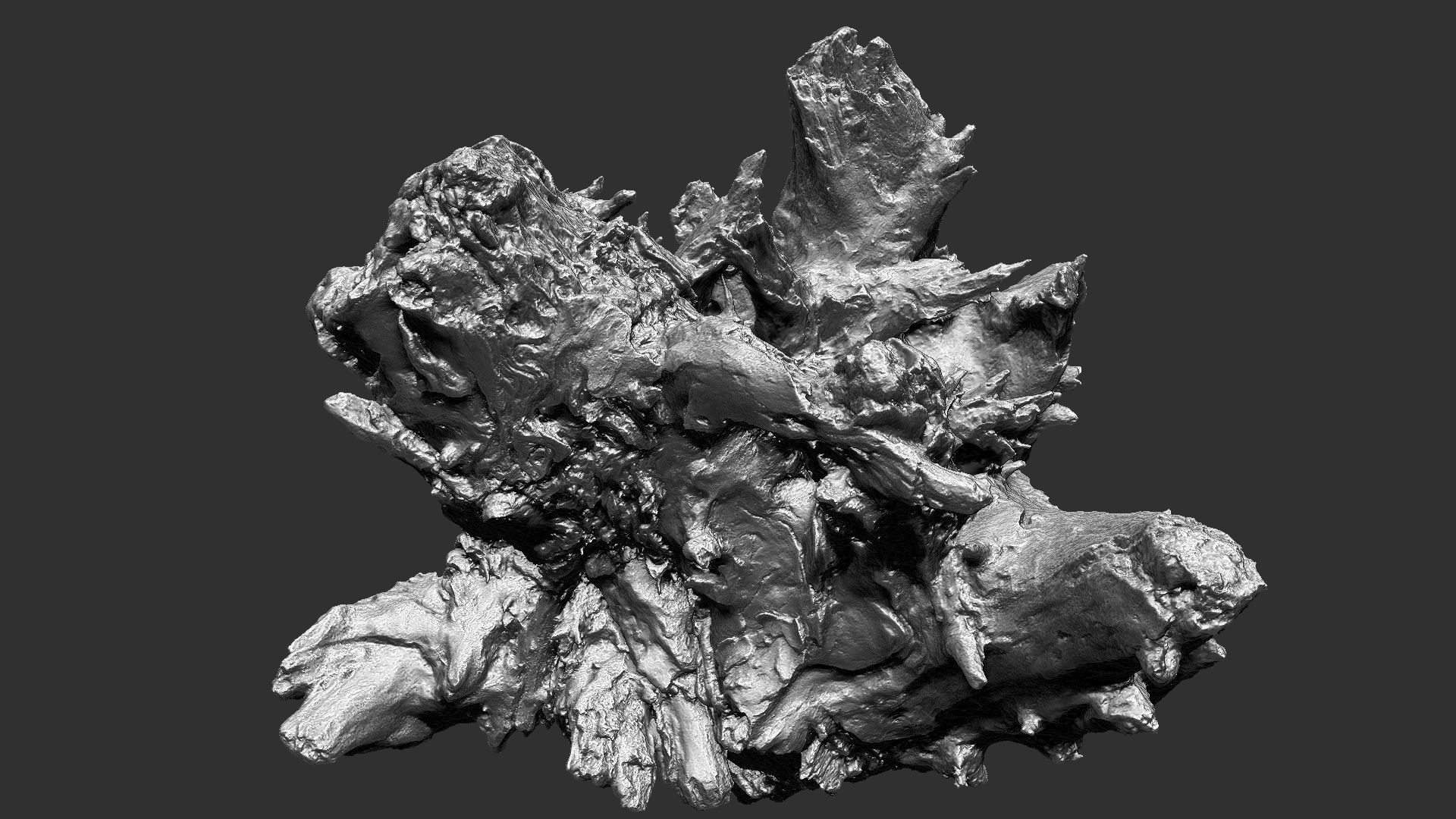 Tree trunk 3d scan 3D model_24