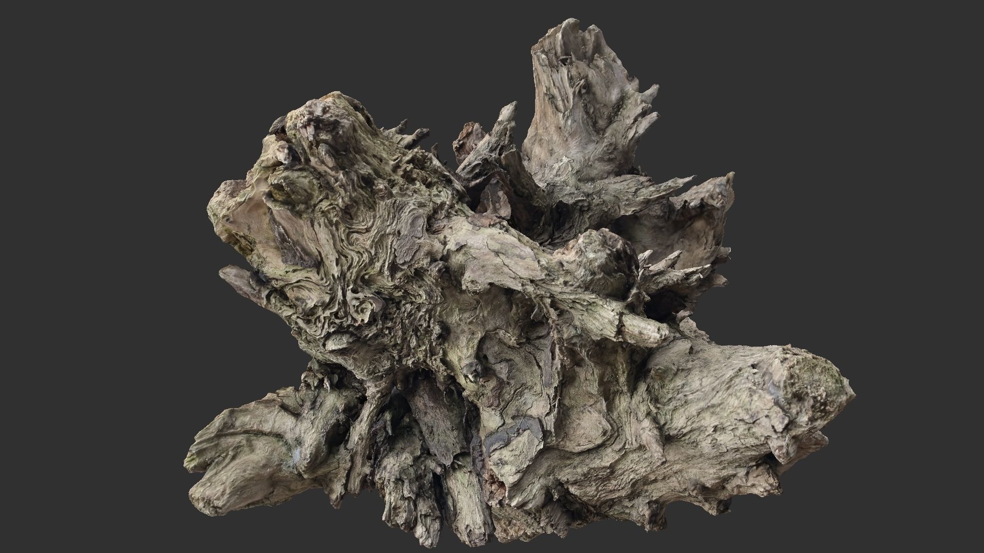 Tree trunk 3d scan 3D model_25