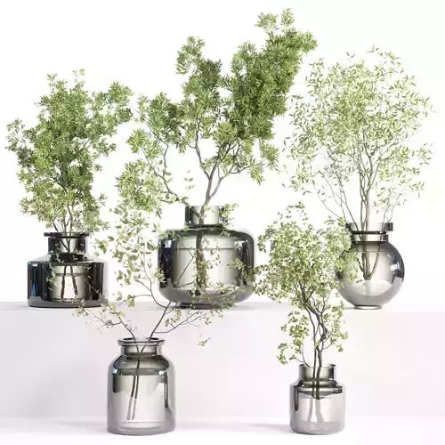 collection Plants Bouquet Indoor glass vase 08