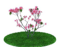 cherry tree 3dm blooming 3d models 3d blooming files cgtrader cherry tree 3dm blooming 3d models 3d blooming files cgtrader