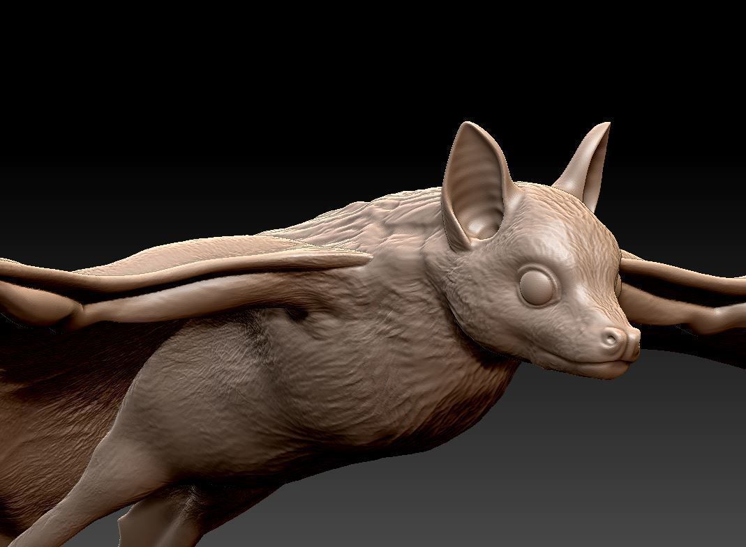 Bat flying fox 3D print model_2