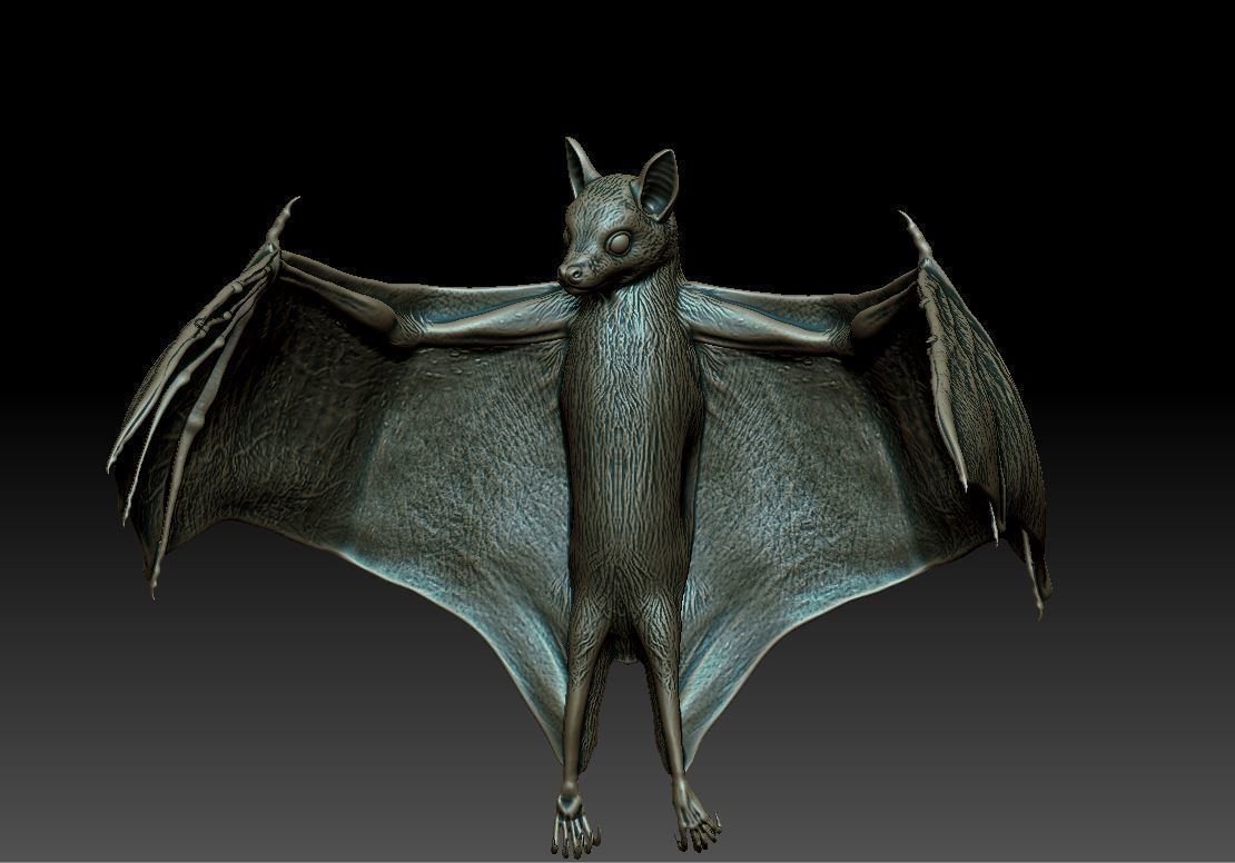Bat flying fox 3D print model_6