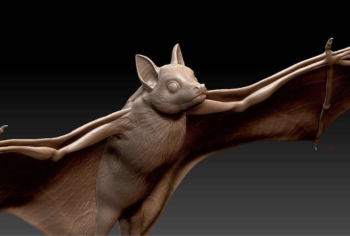Bat flying fox 3D print model_5