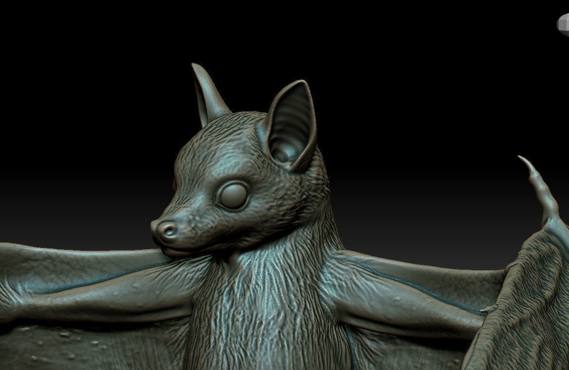 Bat flying fox 3D print model_8