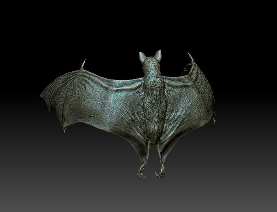Bat flying fox 3D print model_7