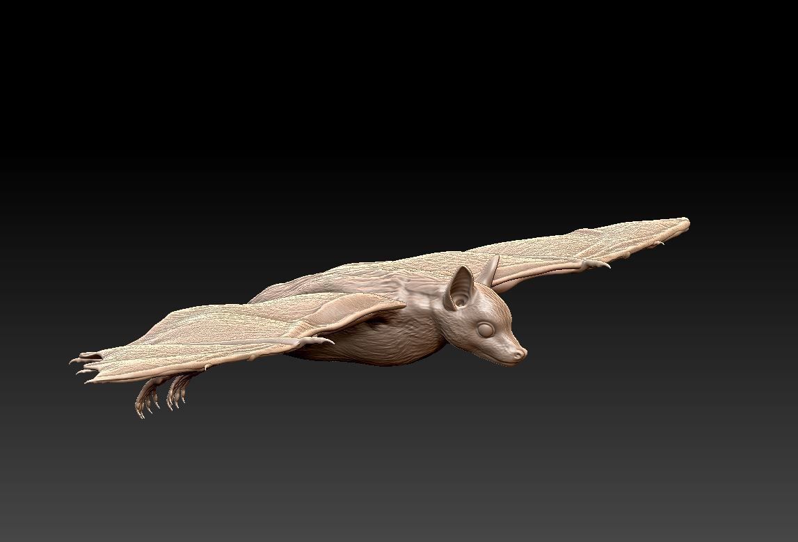 Bat flying fox 3D print model_4
