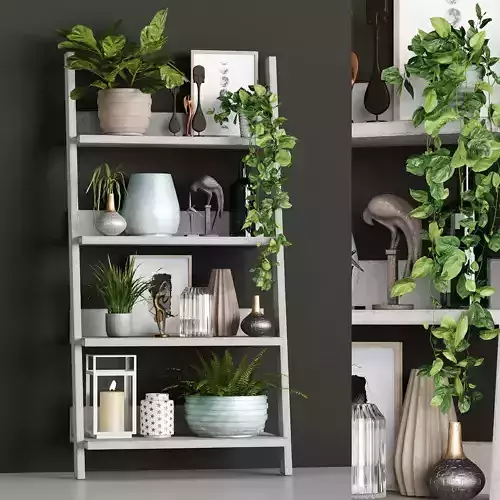 Decorative Set 22 Rack 8