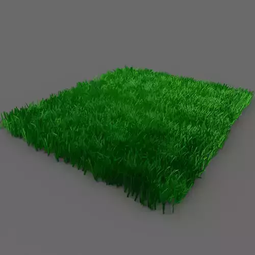 Grass 