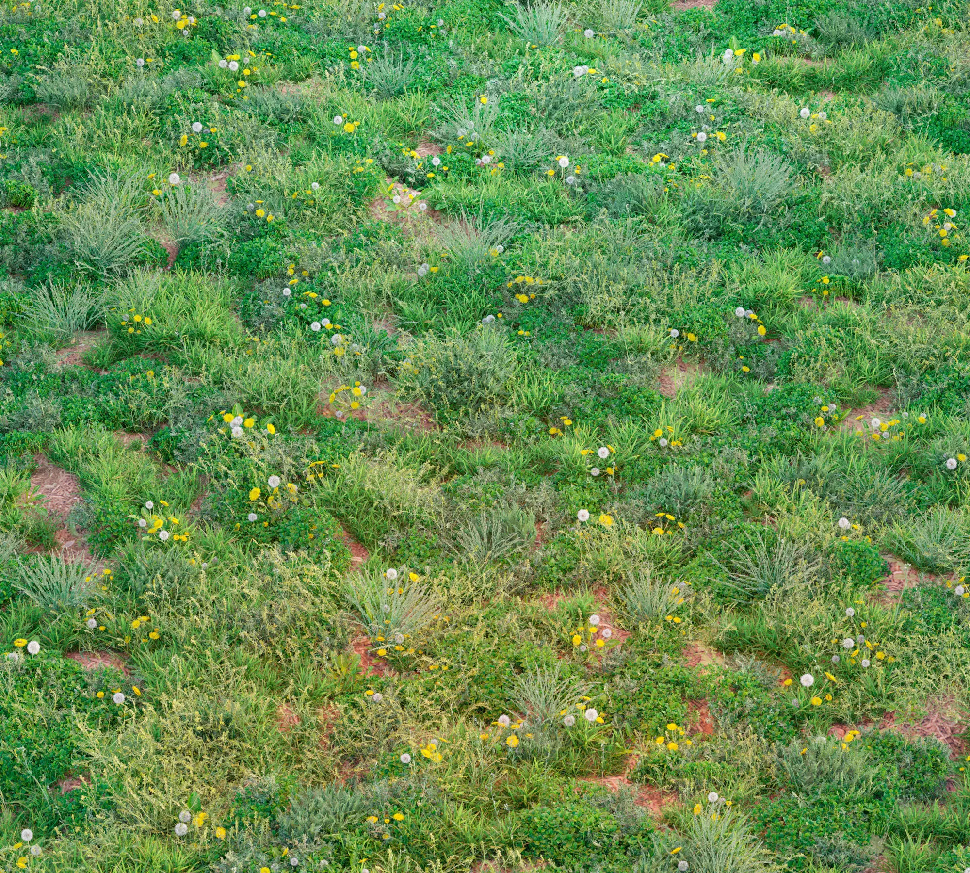 Set Spring summer of grass Low-poly 3D model_0