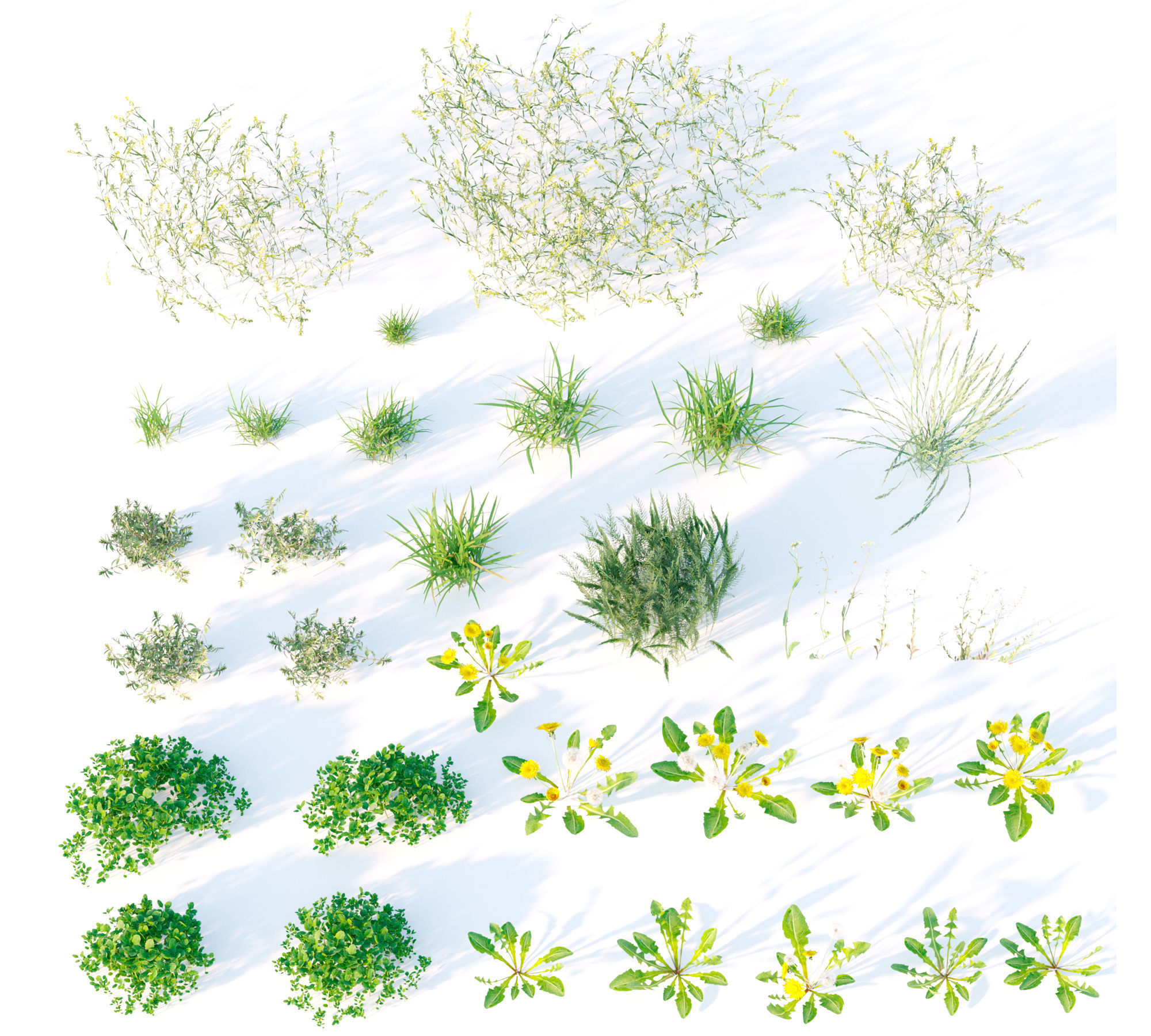 Set Spring summer of grass Low-poly 3D model_6