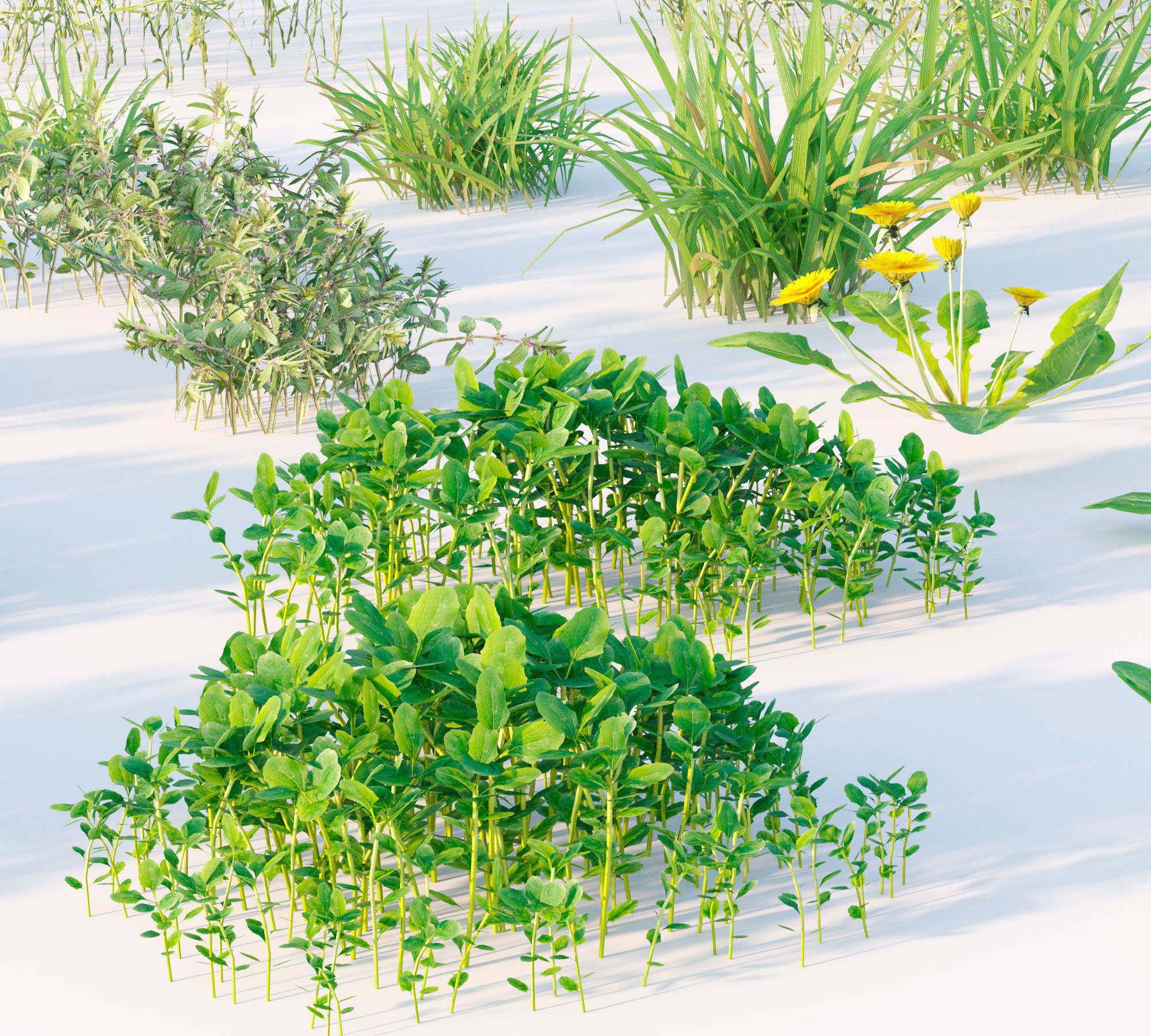 Set Spring summer of grass Low-poly 3D model_8