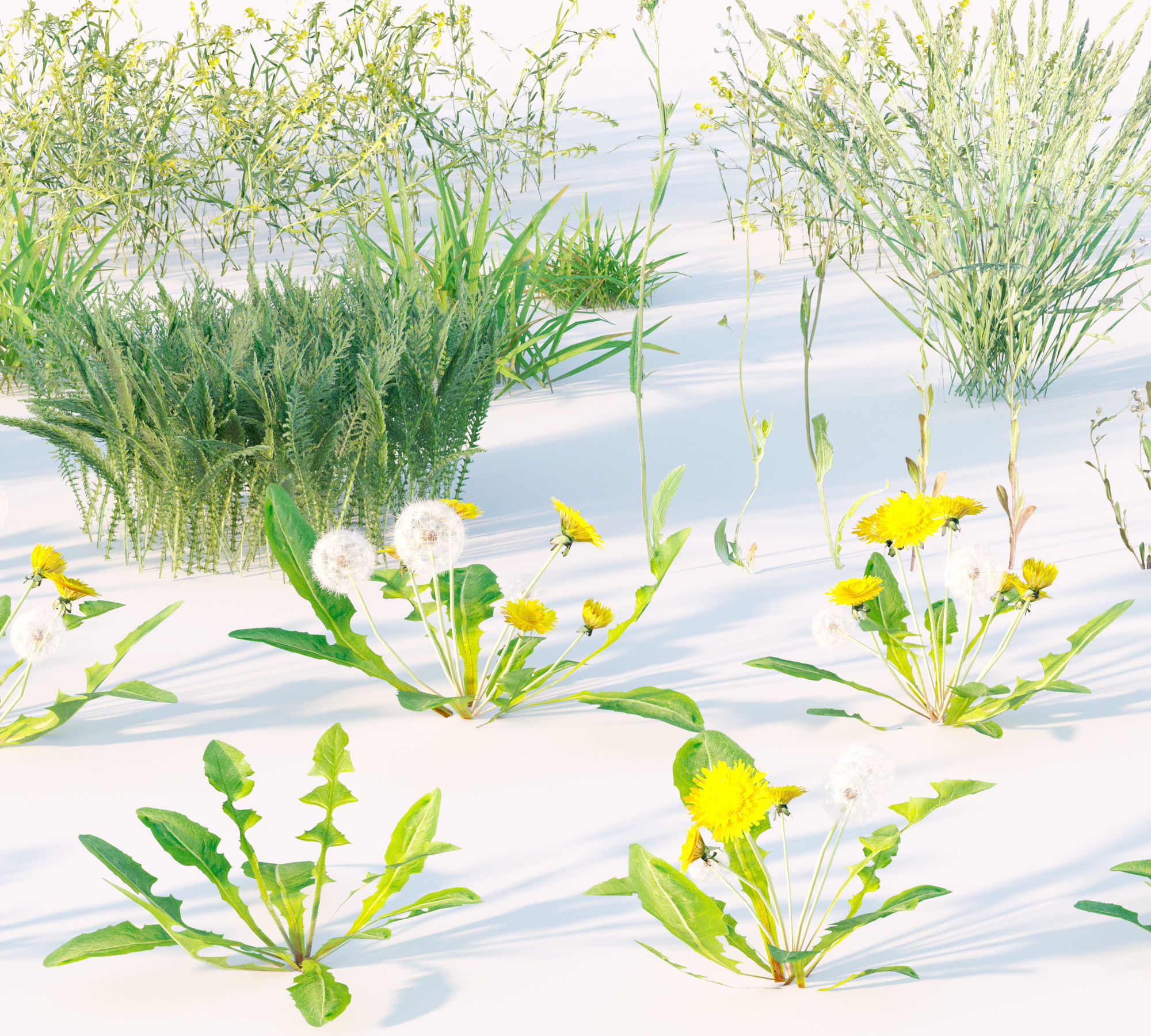 Set Spring summer of grass Low-poly 3D model_10