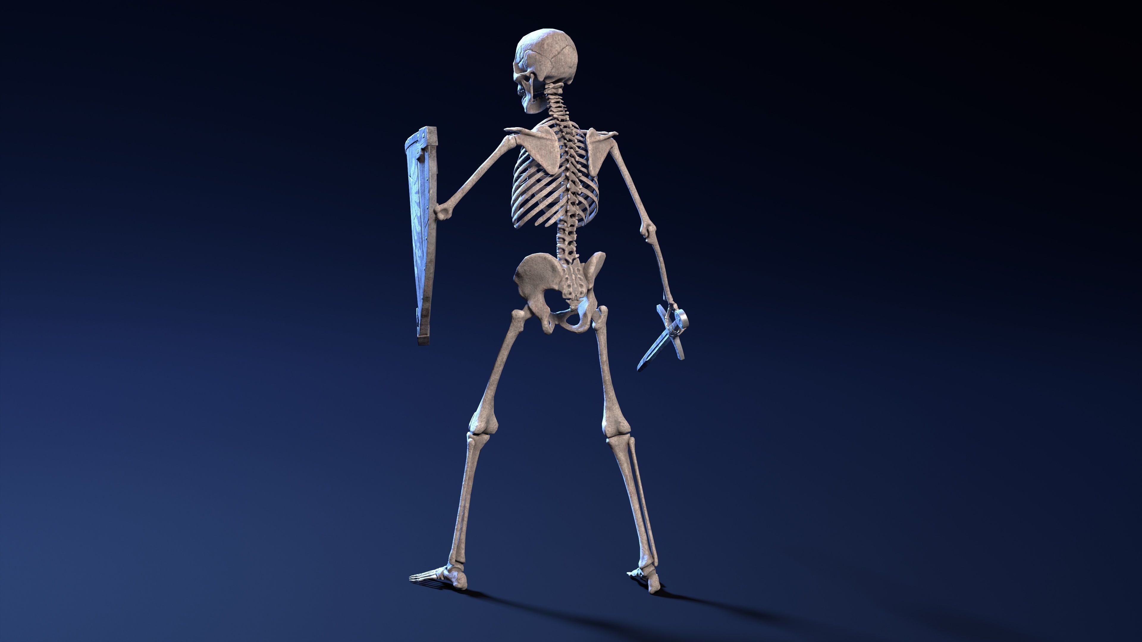 Skeleton Warrior - Game Ready Low-poly 3D model_11