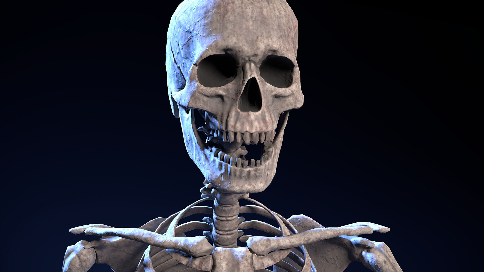 Skeleton Warrior - Game Ready Low-poly 3D model_7